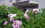 施設写真